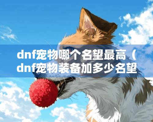 dnf宠物哪个名望最高（dnf宠物装备加多少名望）