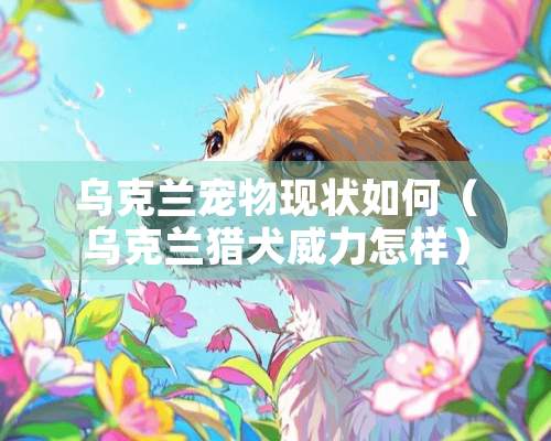 乌克兰宠物现状如何（乌克兰猎犬威力怎样）