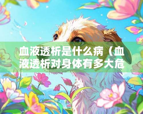 血液透析是什么病（血液透析对身体有多大危害）