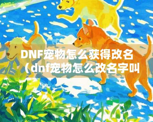 DNF宠物怎么获得改名（dnf宠物怎么改名字叫什么）