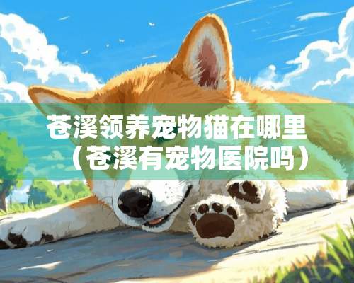 苍溪领养宠物猫在哪里（苍溪有宠物医院吗）