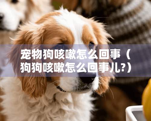 宠物狗咳嗽怎么回事（狗狗咳嗽怎么回事儿?）