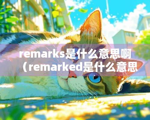 remarks是什么意思啊（remarked是什么意思）