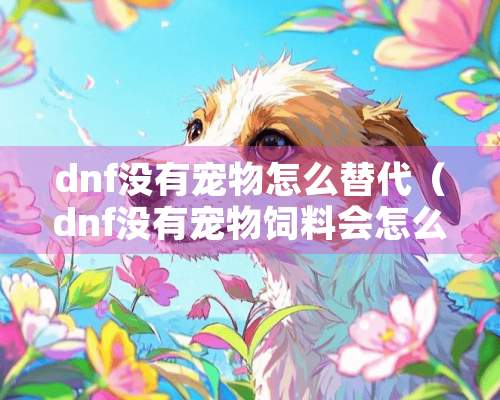 dnf没有宠物怎么替代（dnf没有宠物饲料会怎么样）