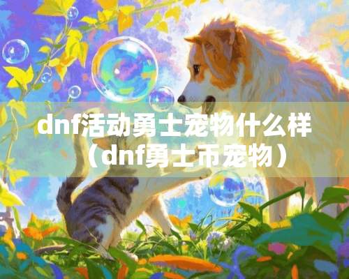 dnf活动勇士宠物什么样（dnf勇士币宠物）