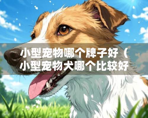 小型宠物哪个牌子好（小型宠物犬哪个比较好）