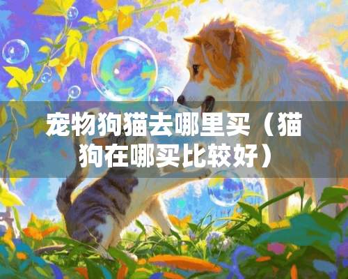 宠物狗猫去哪里买（猫狗在哪买比较好）