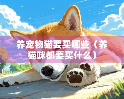 养宠物猫要买哪些（养猫咪都要买什么）