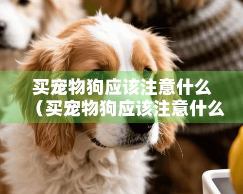 买宠物狗应该注意什么（买宠物狗应该注意什么问题）