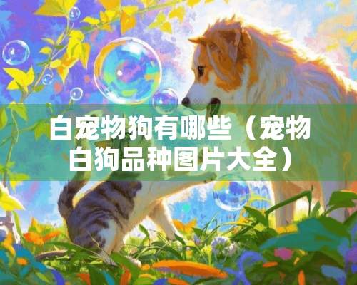 白宠物狗有哪些（宠物白狗品种图片大全）