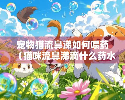 宠物猫流鼻涕如何喂药（猫咪流鼻涕滴什么药水）