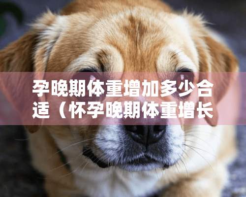 孕晚期体重增加多少合适（怀孕晚期体重增长多少正常）