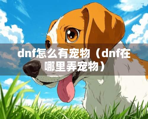 dnf怎么有宠物（dnf在哪里弄宠物）