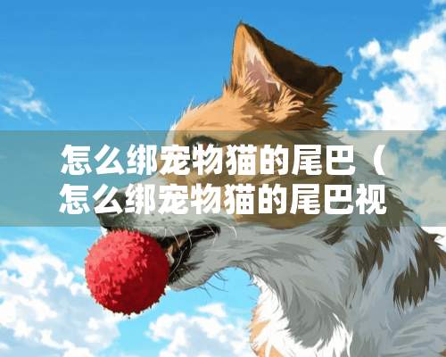 怎么绑宠物猫的尾巴（怎么绑宠物猫的尾巴视频）