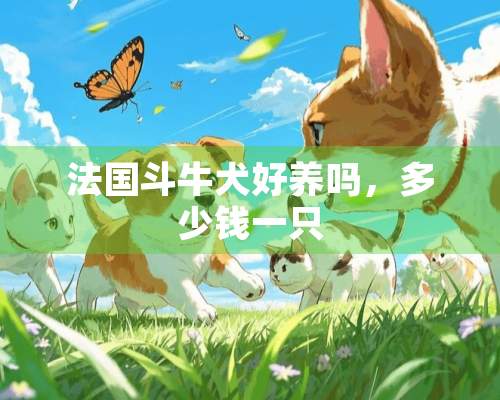 法国斗牛犬好养吗，多少钱一只