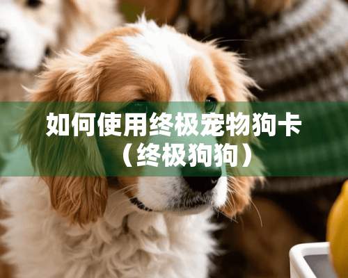 如何使用终极宠物狗卡（终极狗狗）