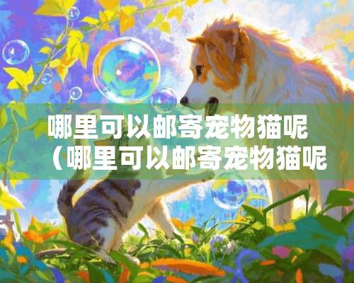 哪里可以邮寄宠物猫呢（哪里可以邮寄宠物猫呢现在）