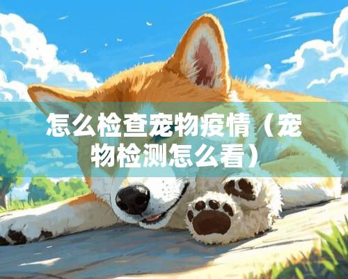 怎么检查宠物疫情（宠物检测怎么看）