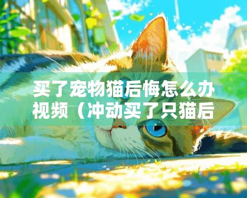 买了宠物猫后悔怎么办视频（冲动买了只猫后悔了）