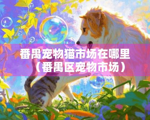 番禺宠物猫市场在哪里（番禺区宠物市场）