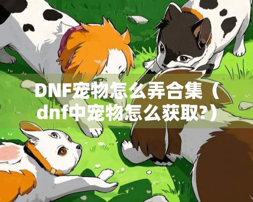 DNF宠物怎么弄合集（dnf中宠物怎么获取?）