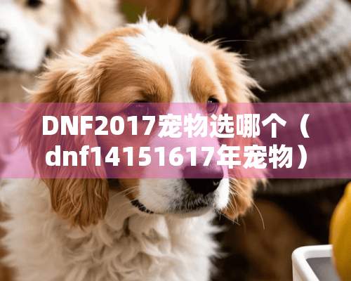 DNF2017宠物选哪个（dnf14151617年宠物）