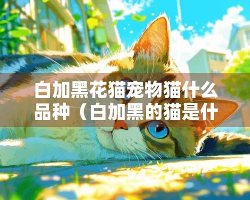 白加黑花猫宠物猫什么品种（白加黑的猫是什么猫）