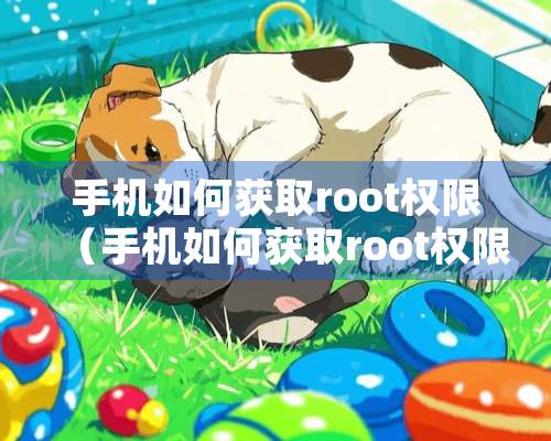 手机如何获取root权限（手机如何获取root权限管理）