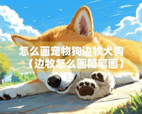 怎么画宠物狗边牧犬狗（边牧怎么画筒笔画）