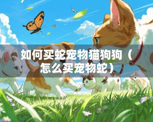 如何买蛇宠物猫狗狗（怎么买宠物蛇）