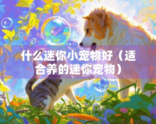 什么迷你小宠物好（适合养的迷你宠物）