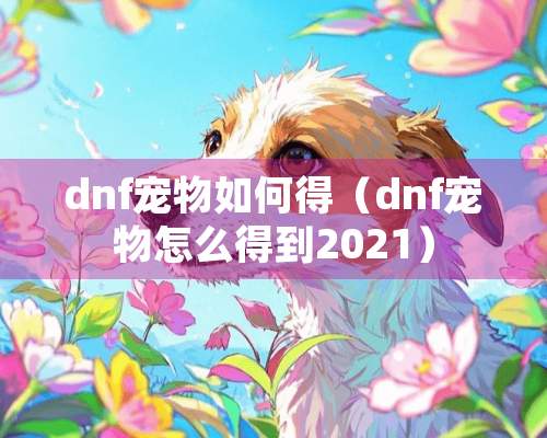 dnf宠物如何得（dnf宠物怎么得到2021）