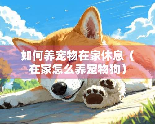 如何养宠物在家休息（在家怎么养宠物狗）