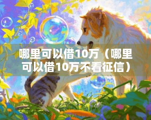 哪里可以借10万（哪里可以借10万不看征信）