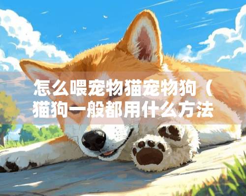 怎么喂宠物猫宠物狗（猫狗一般都用什么方法喂养小动物）