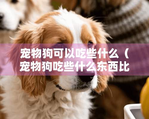 宠物狗可以吃些什么（宠物狗吃些什么东西比较健康）