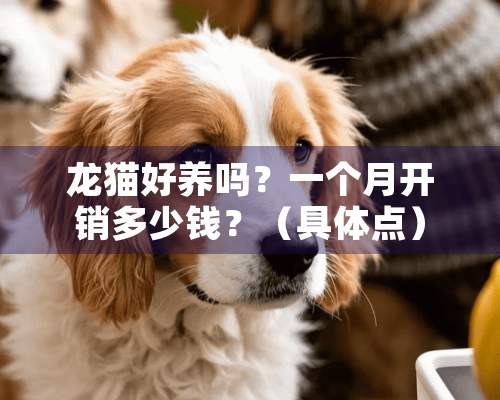 龙猫好养吗？一个月开销多少钱？（具体点）