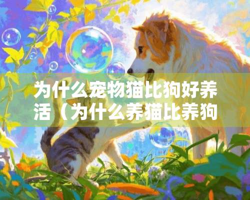 为什么宠物猫比狗好养活（为什么养猫比养狗好）