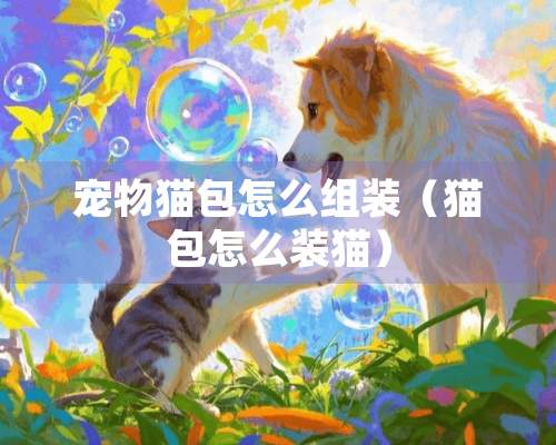 宠物猫包怎么组装（猫包怎么装猫）