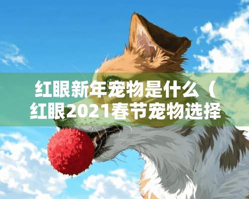 红眼新年宠物是什么（红眼2021春节宠物选择）