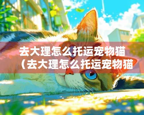 去大理怎么托运宠物猫（去大理怎么托运宠物猫咪）