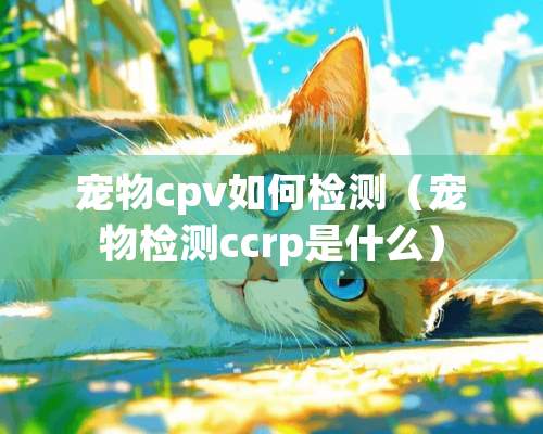 宠物cpv如何检测（宠物检测ccrp是什么）