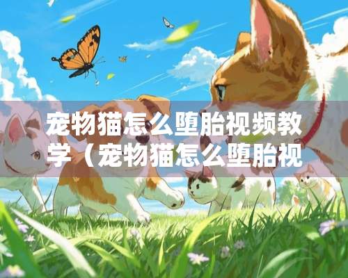 宠物猫怎么堕胎视频教学（宠物猫怎么堕胎视频教学全集）