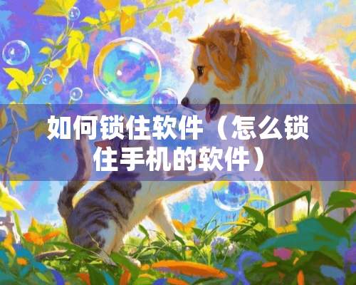 如何锁住软件（怎么锁住手机的软件）