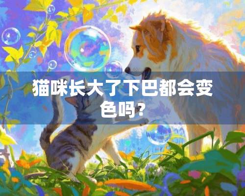 猫咪长大了下巴都会变色吗？