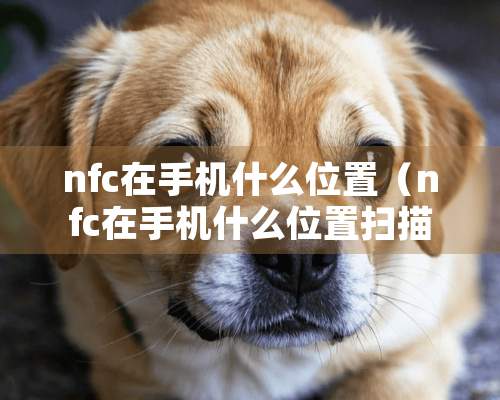 nfc在手机什么位置（nfc在手机什么位置扫描）