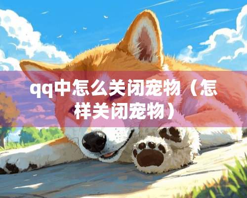 qq中怎么关闭宠物（怎样关闭宠物）