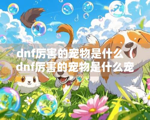 dnf厉害的宠物是什么（dnf厉害的宠物是什么宠物）