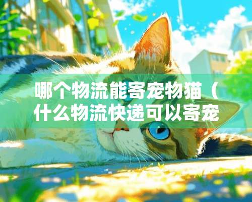 哪个物流能寄宠物猫（什么物流快递可以寄宠物）