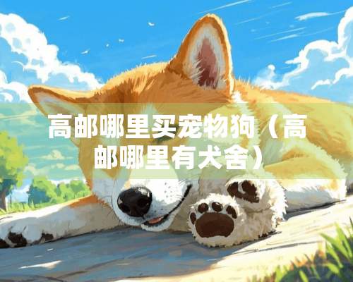 高邮哪里买宠物狗（高邮哪里有犬舍）